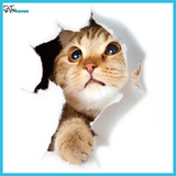 3D Cats Wall Stickers (5 pieces)