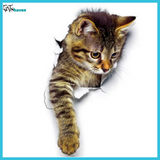 3D Cats Wall Stickers (5 pieces)