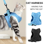 Harness with Leash